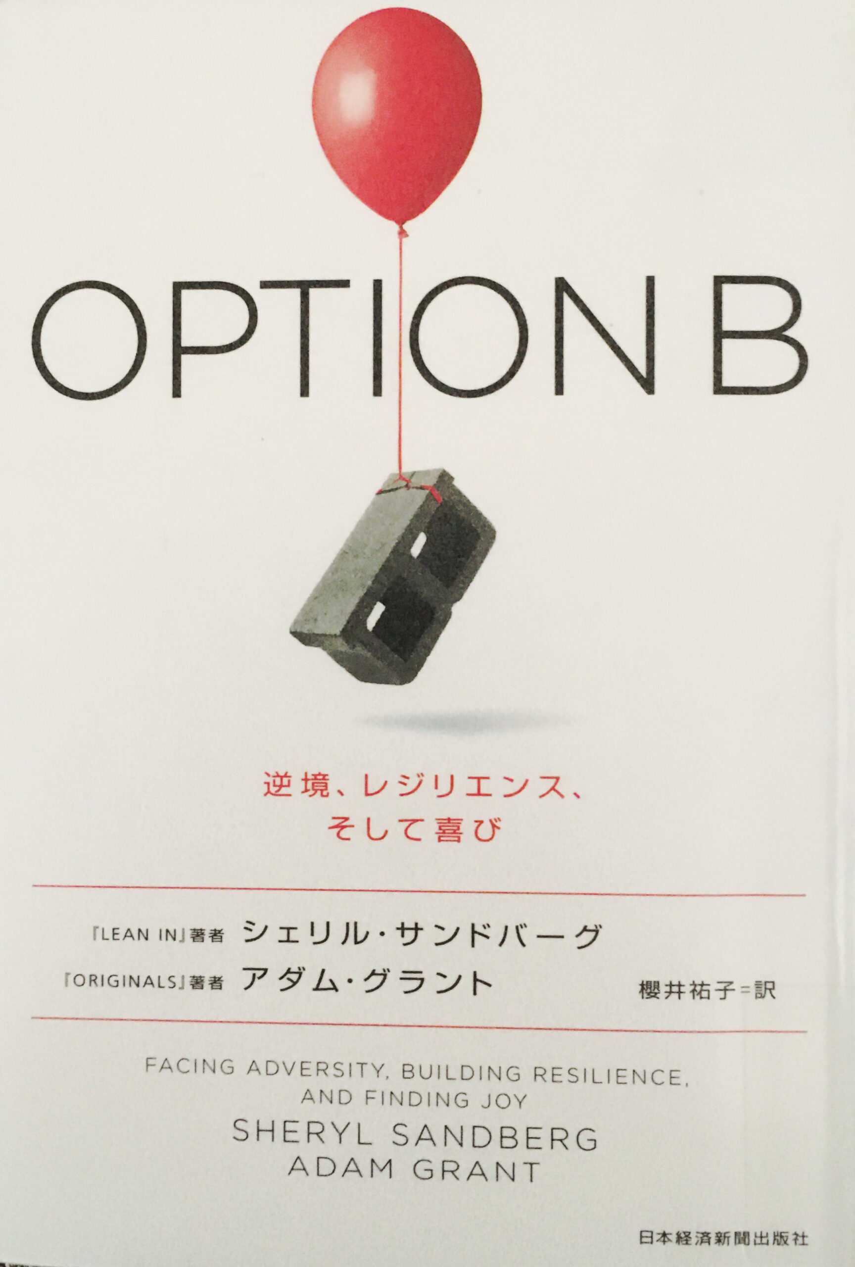 OPTION B