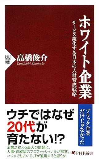 シニアになったら、ソリューション提供を仕事にと考えている人にお薦め。
